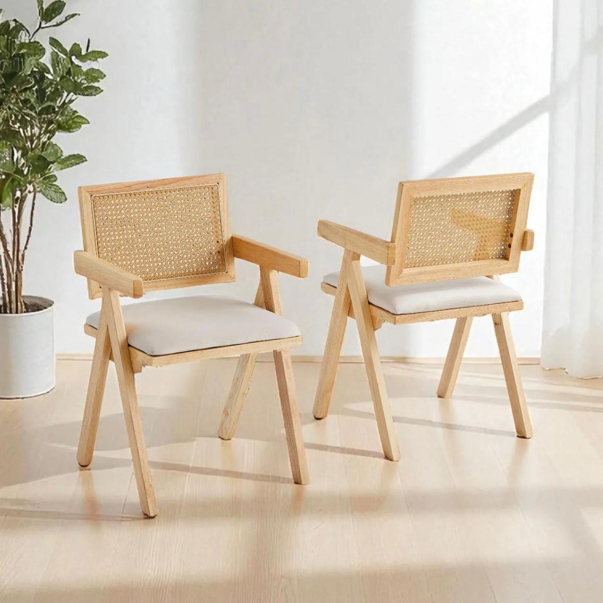 Chaise Rotina
