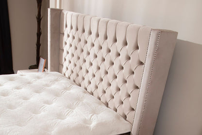Lit Coffre CLOUTE Velours
